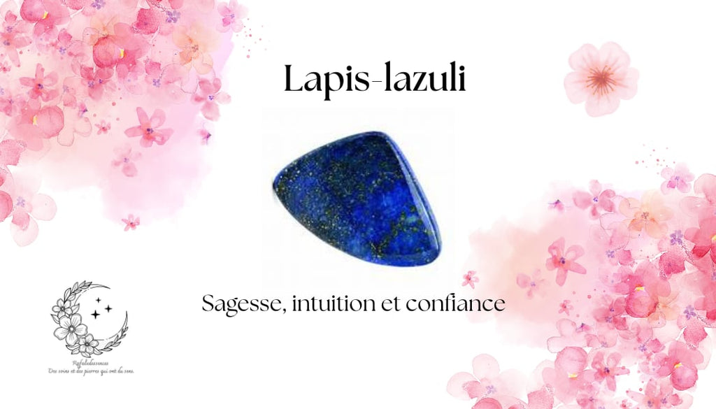Boucles d’oreilles pendantes argentées – Libellule & Perle Lapis Lazuli