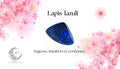 Boucles d’oreilles pendantes argentées – Libellule & Perle Lapis Lazuli